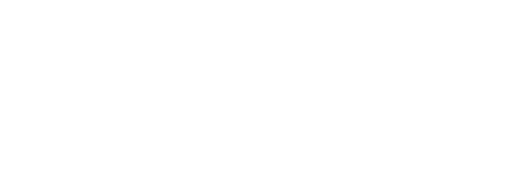 Footer Logo Giant Brother