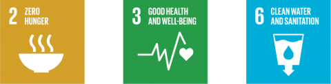 SDGs 2,3,6